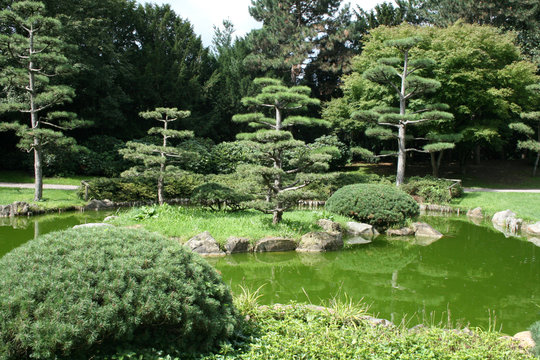 Japanese Garden In Nordpark, Dusseldorf, Germany