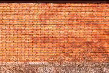 brick wall