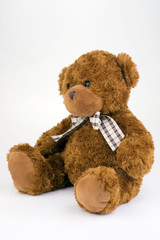 teddy bear © malajscy