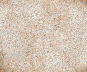 Coconut Macro Natural Background