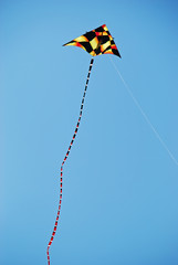 Kite in Flight