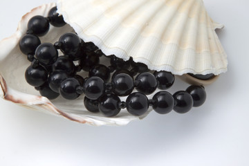 Black pearls and shell