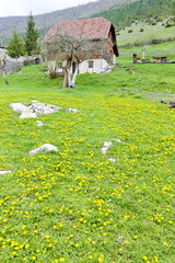 Fototapeta premium countryside, Bosnia and Hercegovina