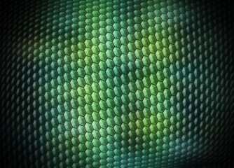 colored digital snakeskin background