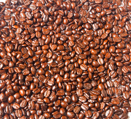 Many brown coffee beans for background