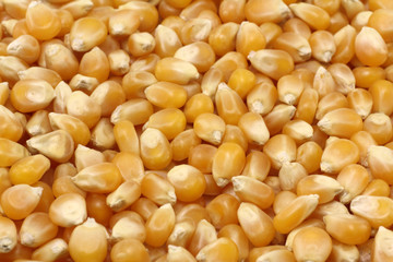 maiskörner