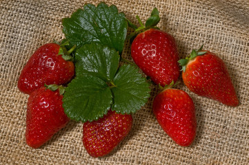 ripe fresh strawberry