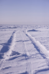 Fototapeta na wymiar Traces in snow