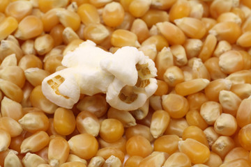 maiskörner mit popcorn