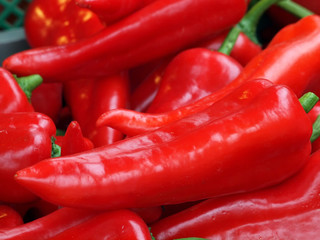 Paprika