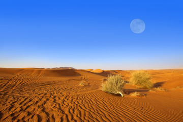 Dubai sand dunes