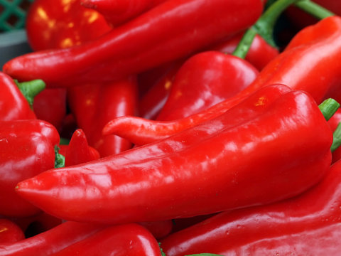 Paprika
