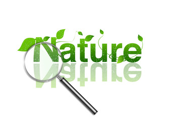 Investigando la Naturaleza