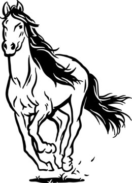 recommend clip art: running horse