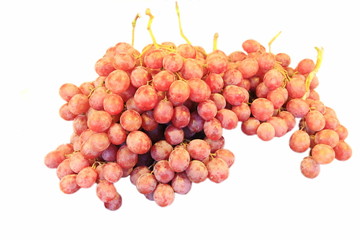 Purple grape bunch