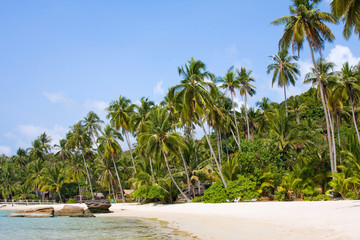 Obraz premium Beautiful tropical beach in Koh Kood , Thailand