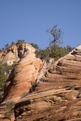 Zion National Park, Utah