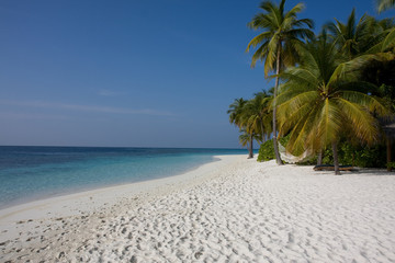 Isola Maldiviana