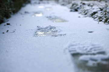 Schneesüren