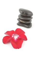 rose petals and spa stones