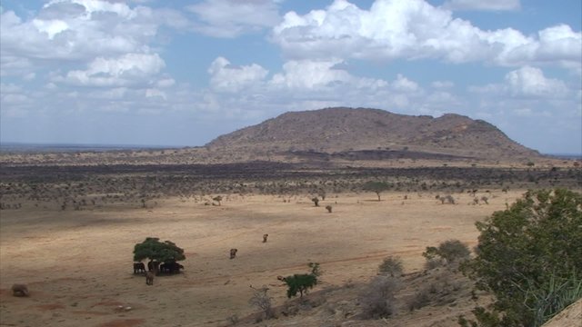 Afrikanische Landschaft