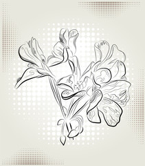 geranium flowers on the abstract background