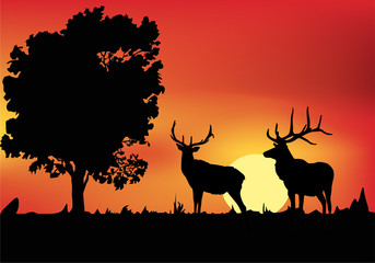 two deers near tree at sunset