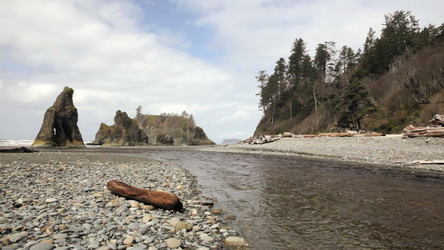 Driftwood on Ruby Beach