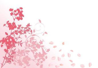 Fototapeta na wymiar pink sakura with falling petals