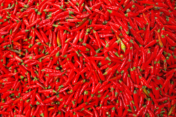 Fototapeta premium Red peppers