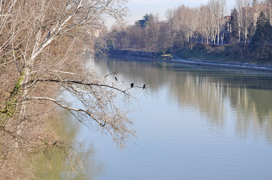 FIUME PO, PARCO DEL VALENTINO, TORINO