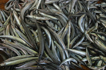angelandeter Fischfang auf Markt