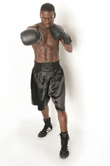 Boxer