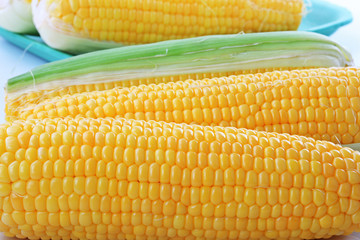 The corn