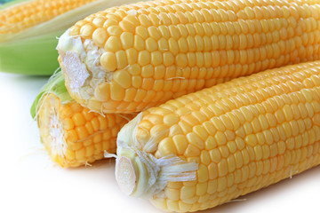 The corn