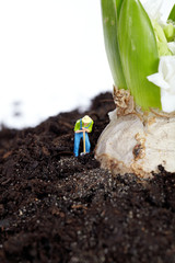 Miniature gardener  working