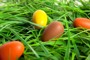 Ostern Eier Ostereier Hintergrund Karte