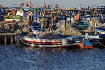 Bateaux de p&ecirc;che  tunisiens au port