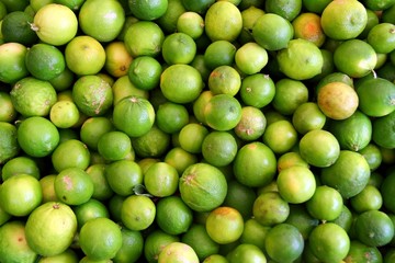many Lemon citrus fruit pattern background