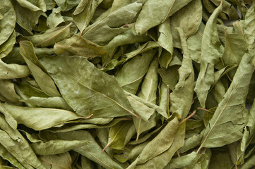 Getrocknete Curryblätter