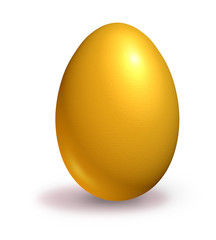 Nest egg isolated on white