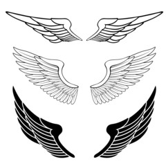 Obraz premium set of wings isolated on white