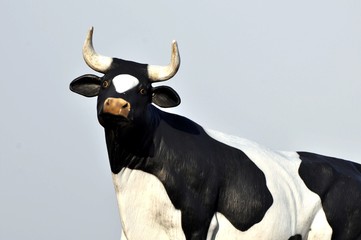 vache