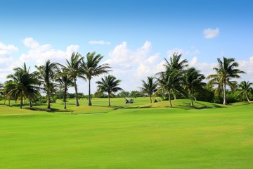 golf course tropical palm trees  Mexico - 30226151