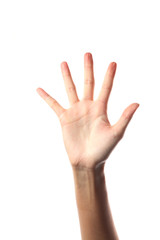 Fototapeta premium Hand Vote