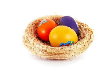 Colored eggs in nest