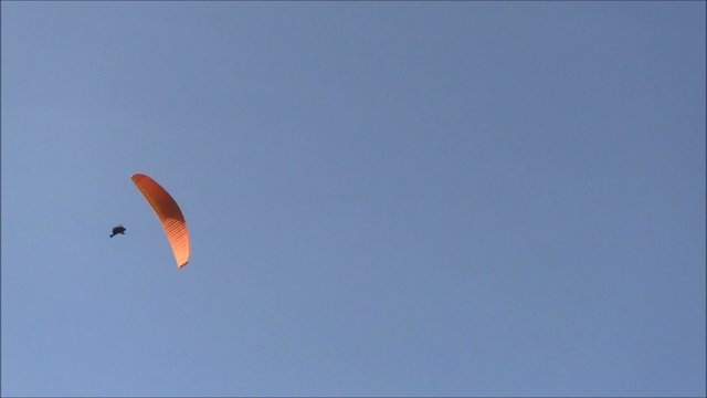 Paragleiter
