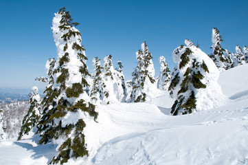 森吉山の樹氷