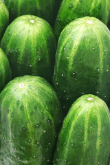 Cucumbers close-up