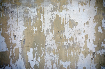 Obraz premium old wall